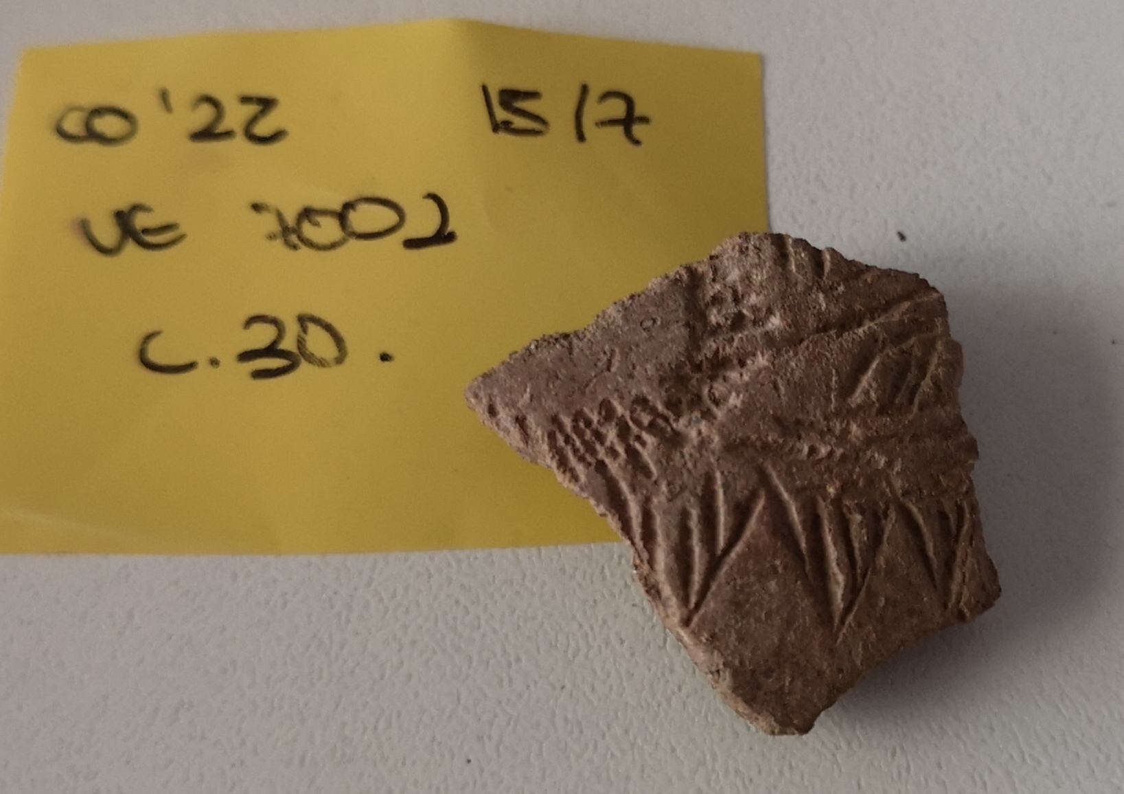 MARQ - Arqueólogos del MARQ hallan relevantes cerámicas del Neolítico en una grieta la Cova l'Or Beniarrés