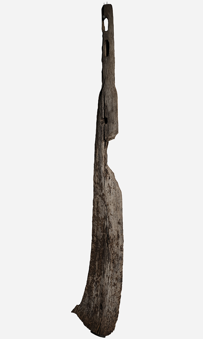 Timon-lateral-w