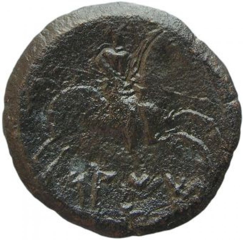 Reverso de la moneda