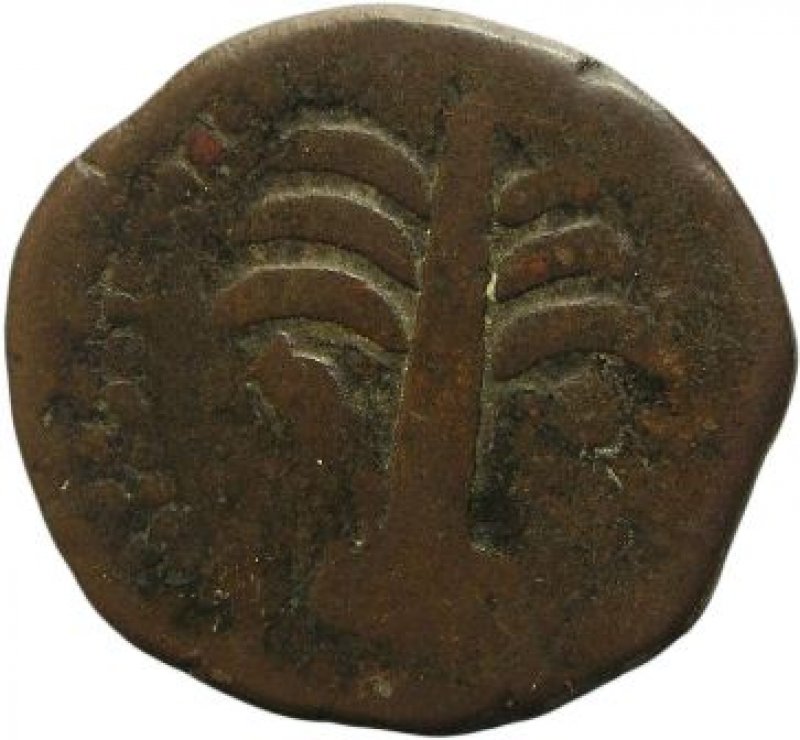 Reverso de la moneda