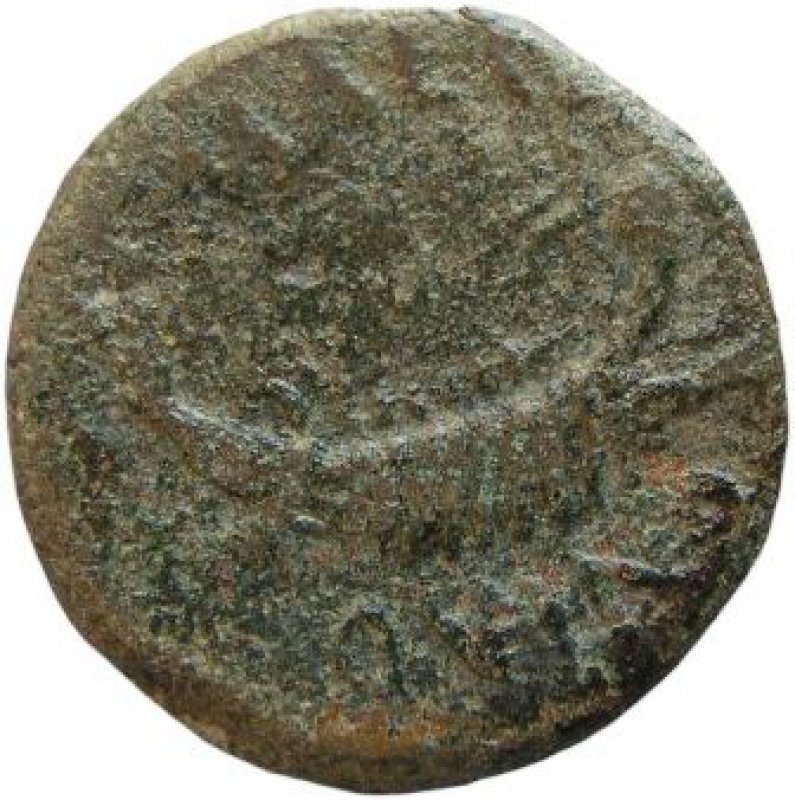 Reverso de la moneda