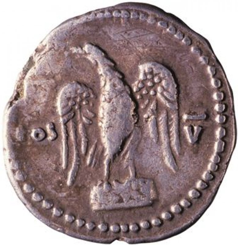 Reverso de la moneda